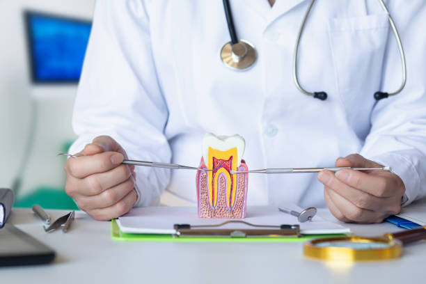 Best Tooth Pain Emergency Relief  in Farmers Branch, TX